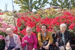 IMG_20260511_150954
