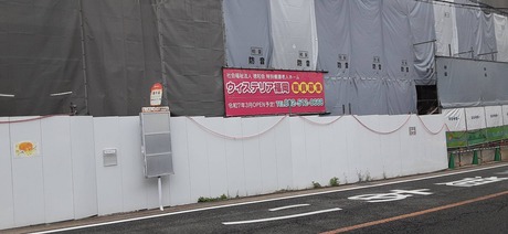 IMG_2941_202411151654034