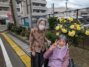 PXL_20240429_051548368