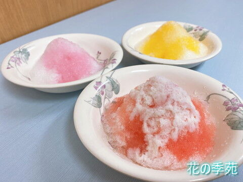 写真１