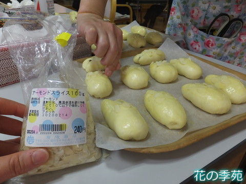 写真8