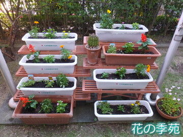 写真７