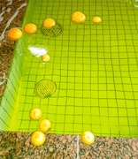 IMG_20251208_093956~2