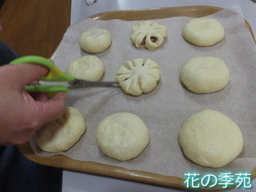 写真5