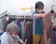 こっちのがらの方が