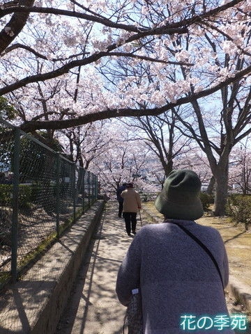写真２-2