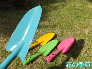 写真１