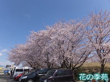 写真１