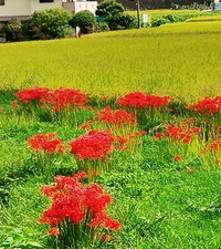 IMG_20260921_102721