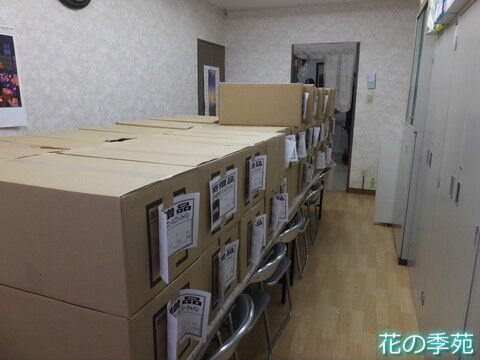 DSCF2979
