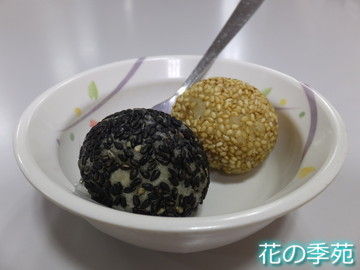 写真8