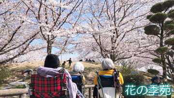 写真４