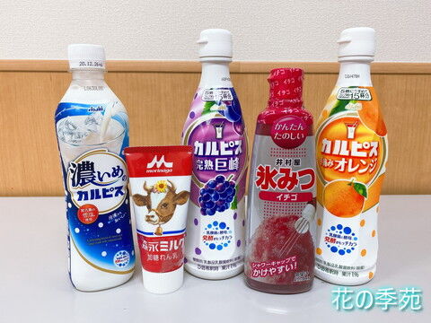 写真２