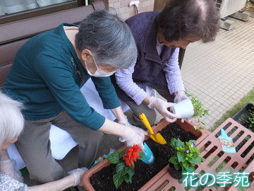 写真３