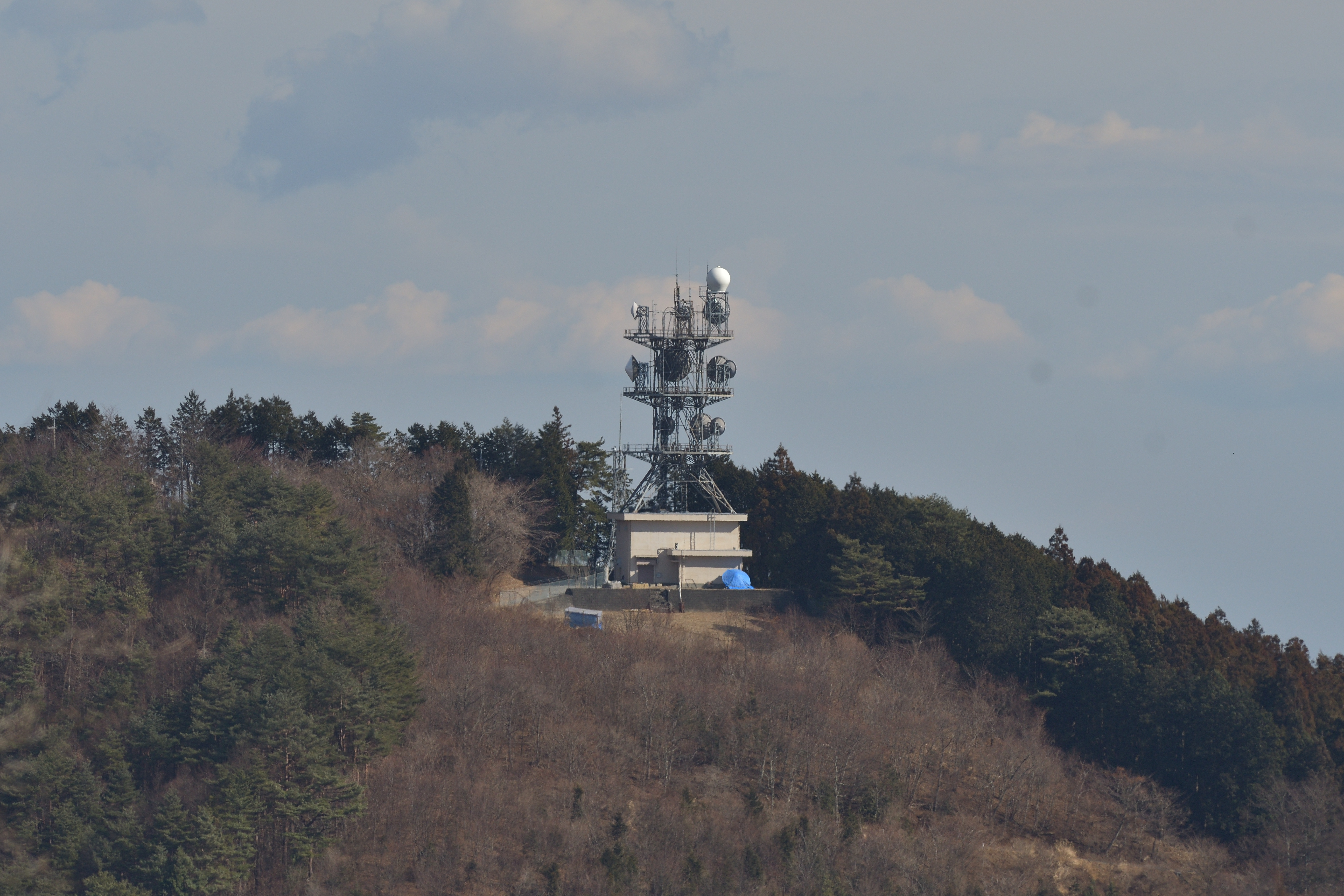500mm F5.6E PF VS 300mm F2.8G ED VR II : 野鳥大好き・道草日記 500mm F5.6E PF VS 300mm F2.8G ED VR II : 野鳥大好き・道草日記