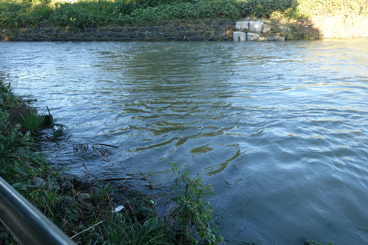 台風１９号の泥 ヘドロ除去 野鳥大好き 道草日記