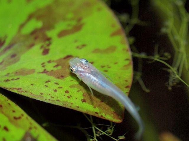 P9187843