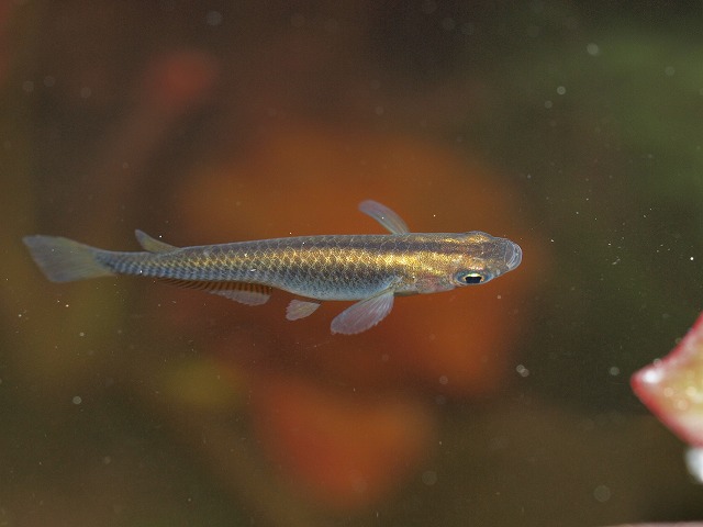 P5035136