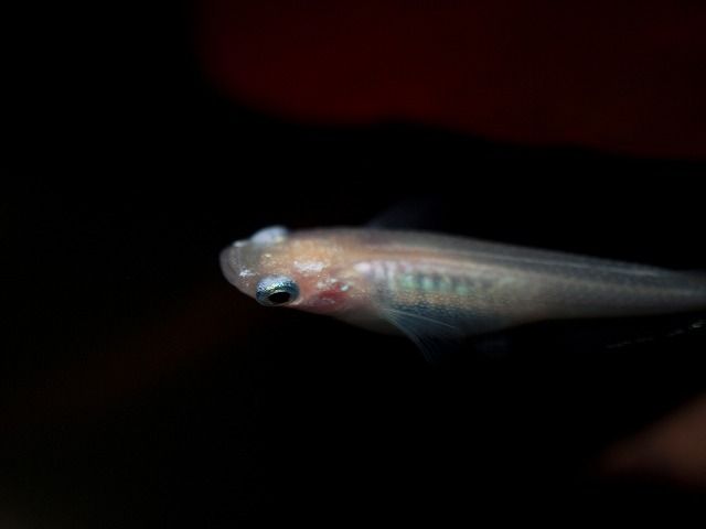 P5010936
