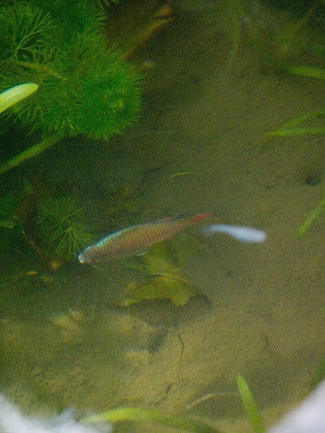P8100109_Fotor