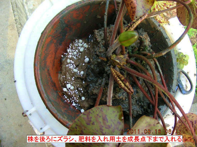 4DSCN7063