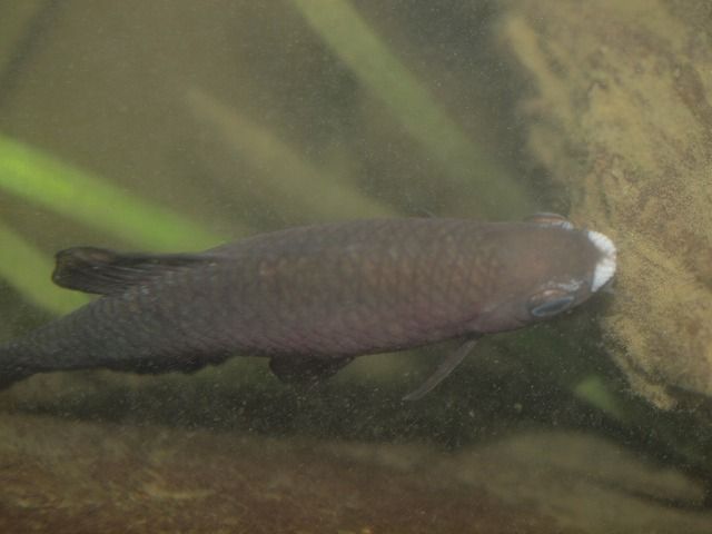 P6283103