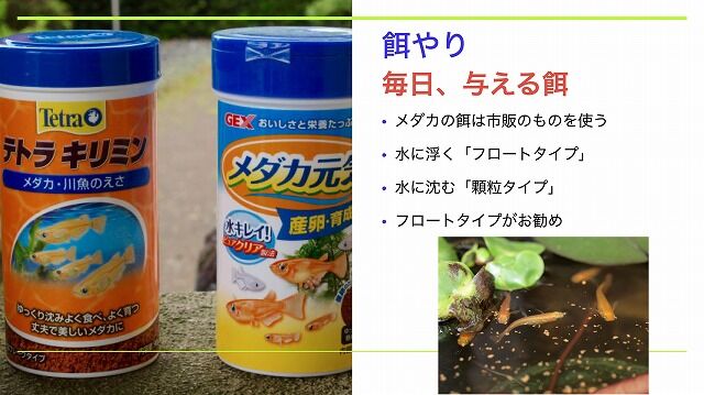 スクリーンショット 2020-08-09 20.49.34