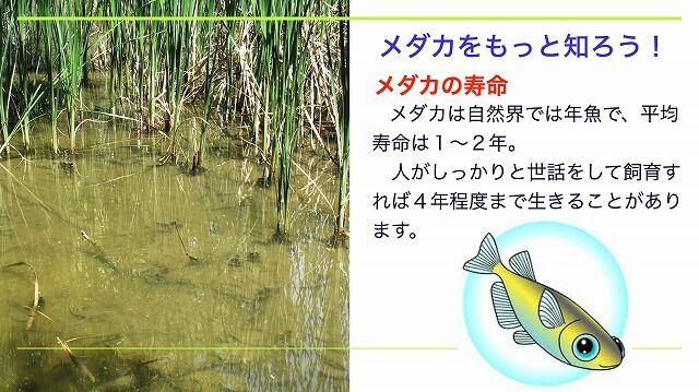 スクリーンショット 2020-08-09 21.17.39