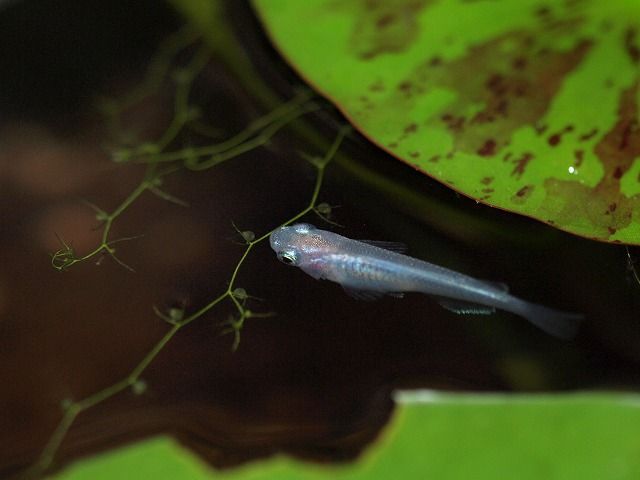 P9187836