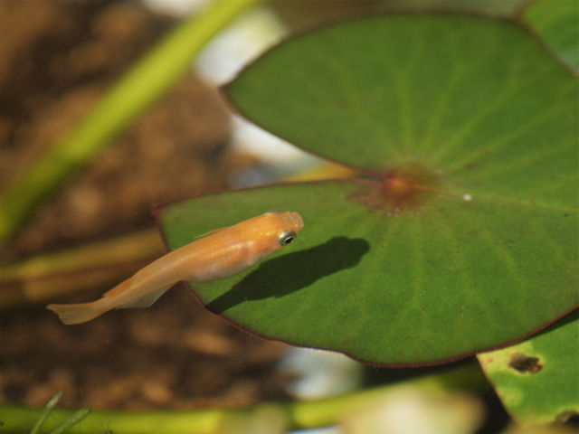P9221319