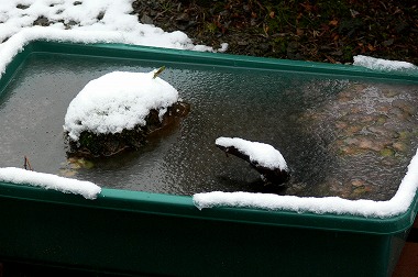 雪のプラ船水槽