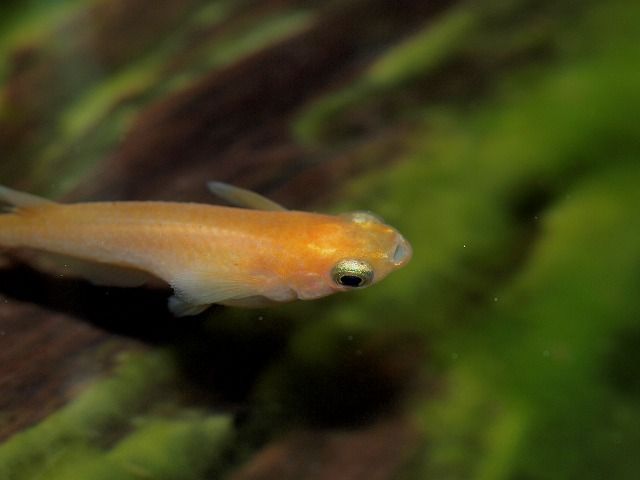 P5010987