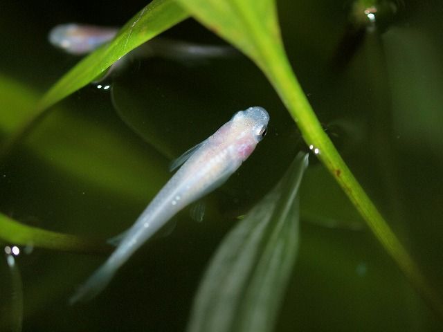 P9187878