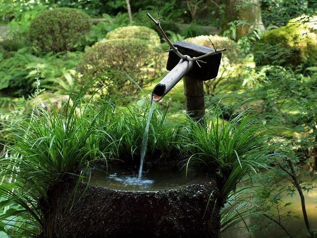 手水鉢 ちょうずばち Tokuzeのメダカ飼育日記 屋外でメダカを飼おう 手水鉢 ちょうずばち Tokuzeのメダカ飼育日記 屋外でメダカを飼おう