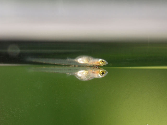 P5038824