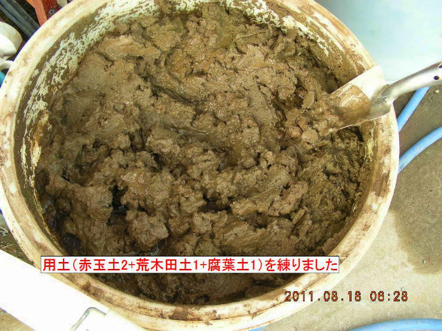 1DSCN7057