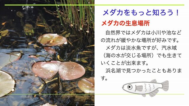 スクリーンショット 2020-08-09 21.18.48