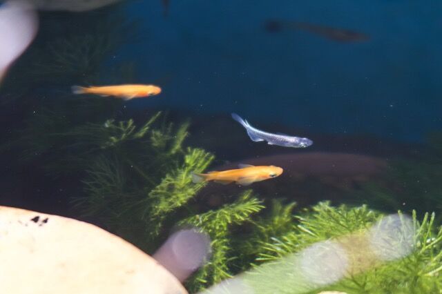 IMG_5773_Fotor