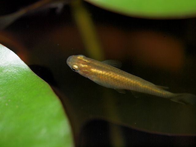 P7163719