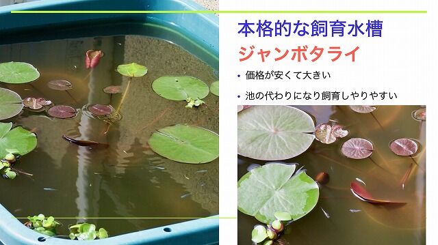 スクリーンショット 2020-08-09 20.48.26