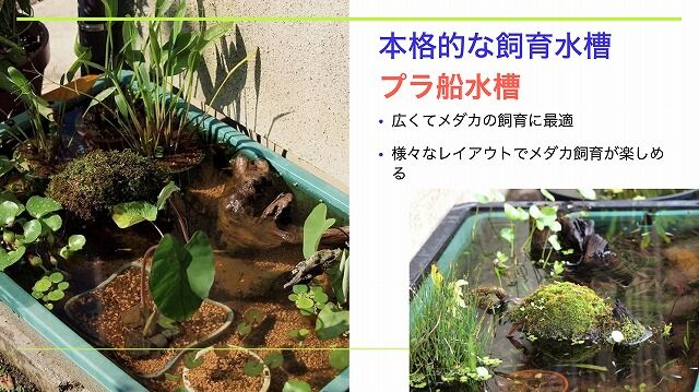 スクリーンショット 2020-08-09 20.47.59