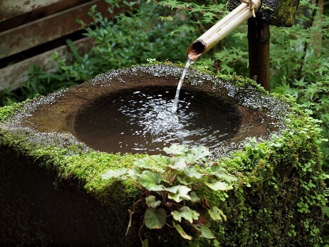 手水鉢 ちょうずばち Tokuzeのメダカ飼育日記 屋外でメダカを飼おう