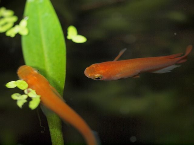 P7223809