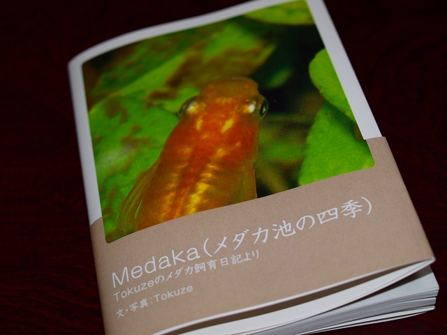 このブログの自作本が今月の1冊に選出 Tokuzeのメダカ飼育日記 屋外でメダカを飼おう このブログの自作本が今月の1冊に選出 Tokuzeのメダカ飼育日記 屋外でメダカを飼おう