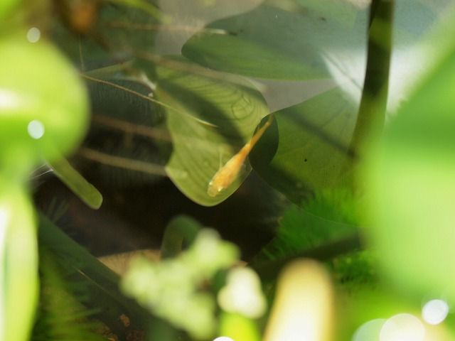 P9104822