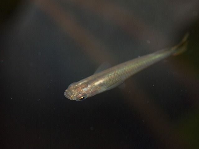 P9187831
