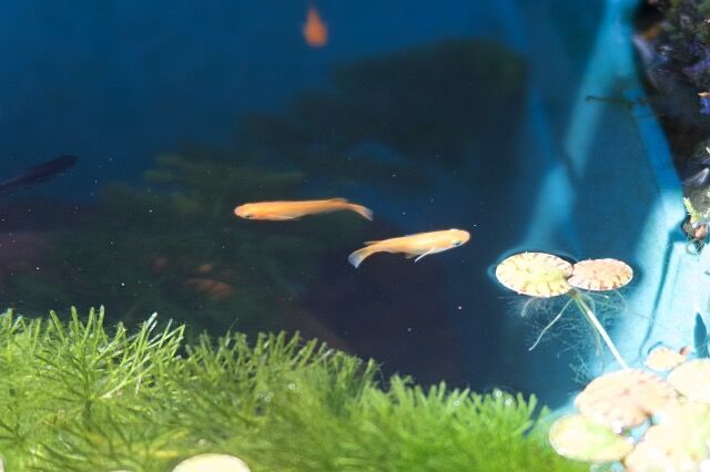 IMG_5777_Fotor