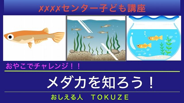 スクリーンショット 2020-08-09 21.15.19