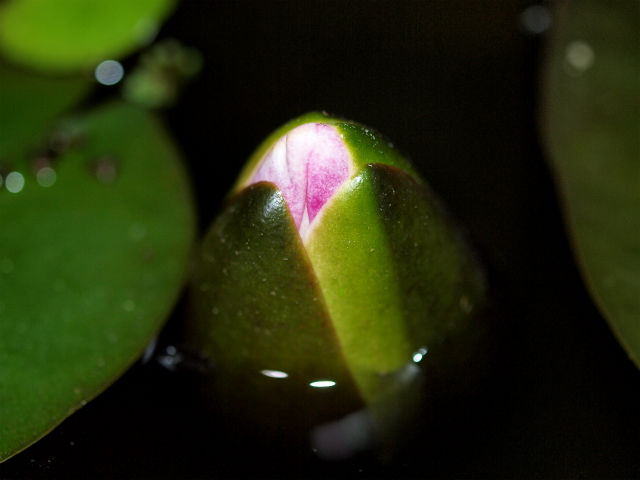 P6159683