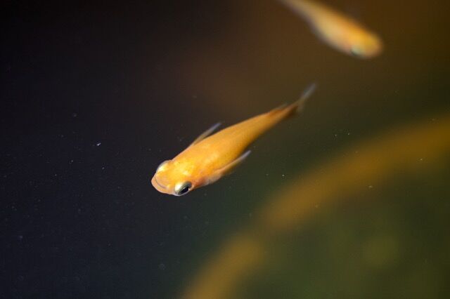 R0000169_Fotor